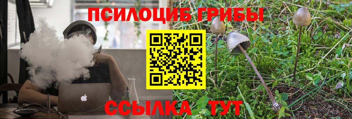 даркнет сайт  Вход с VPN  Тавда  Галлюциногенные грибы Magic Shrooms  Псилоцибиновые грибы Cubensis 
