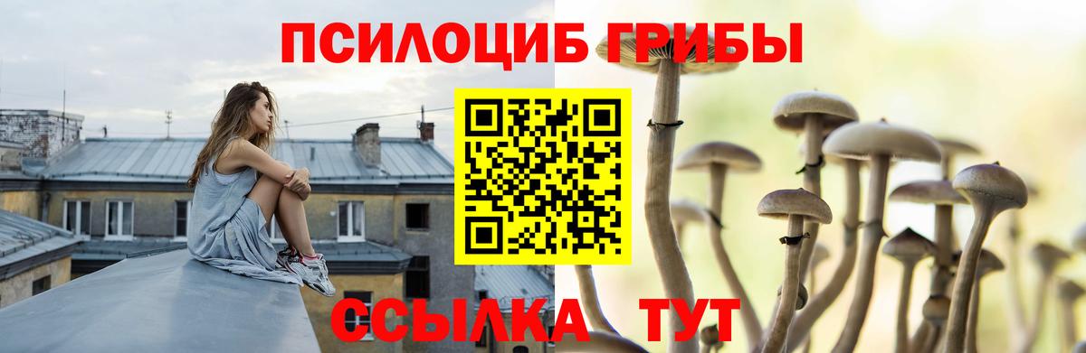 Псилоцибиновые грибы Magic Shrooms Тавда