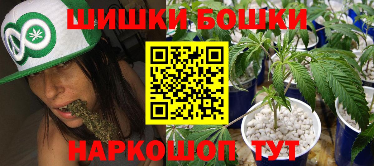 Бошки Шишки LSD WEED  Бошки Шишки ГИДРОПОН  Бошки Шишки план  Канабис гибрид  Вход с VPN  Тавда 